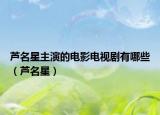 芦名星主演的电影电视剧有哪些（芦名星）