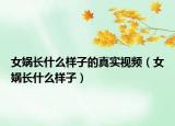 女娲长什么样子的真实视频（女娲长什么样子）