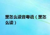 罡怎么读音粤语（罡怎么读）
