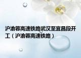 沪渝蓉高速铁路武汉至宜昌段开工（沪渝蓉高速铁路）