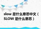 slow 是什么意思中文（SLOW 是什么意思）