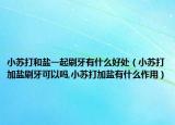 小苏打和盐一起刷牙有什么好处（小苏打加盐刷牙可以吗,小苏打加盐有什么作用）