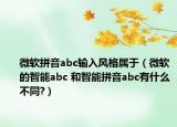 微软拼音abc输入风格属于（微软的智能abc 和智能拼音abc有什么不同?）