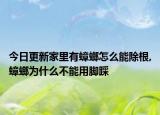 今日更新家里有蟑螂怎么能除根,蟑螂为什么不能用脚踩