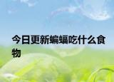 今日更新蝙蝠吃什么食物
