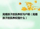 离婚孩子的抚养权与户籍（离婚孩子的抚养权指什么）
