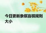 今日更新象棋盲棋规则大小