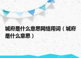 城府是什么意思网络用词（城府是什么意思）