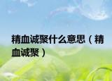 精血诚聚什么意思（精血诚聚）