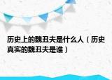 历史上的魏丑夫是什么人（历史真实的魏丑夫是谁）