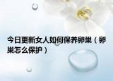 今日更新女人如何保养卵巢（卵巢怎么保护）