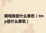 铜母排是什么意思（tmp是什么意思）