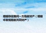 婚姻存续期间一方隐匿财产（婚姻中发现隐匿共同财产）