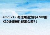 amd k1（有谁知道为何AMD的K10处理器性能那么差?）
