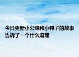 今日更新小公鸡和小鸭子的故事告诉了一个什么道理