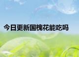 今日更新国槐花能吃吗