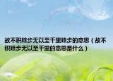 故不积跬步无以至千里跬步的意思（故不积跬步无以至千里的意思是什么）