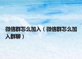 微信群怎么加入（微信群怎么加入群聊）