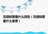 见微知著是什么词性（见微知著是什么意思）