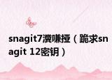 snagit7瀵嗛挜（跪求snagit 12密钥）