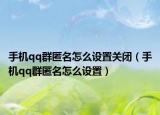 手机qq群匿名怎么设置关闭（手机qq群匿名怎么设置）