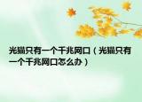 光猫只有一个千兆网口（光猫只有一个千兆网口怎么办）