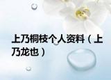 上乃桐枝个人资料（上乃龙也）