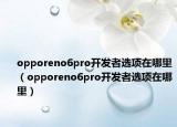 opporeno6pro开发者选项在哪里（opporeno6pro开发者选项在哪里）