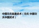 中国功夫就是武术（功夫 中国功夫中国武术）