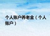 个人账户养老金（个人账户）