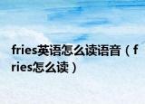 fries英语怎么读语音（fries怎么读）