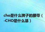 cho是什么牌子的腰带（-CHO是什么基）