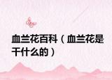 血兰花百科（血兰花是干什么的）
