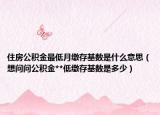 住房公积金最低月缴存基数是什么意思（想问问公积金**低缴存基数是多少）