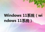 Windows 11系统（windows 11系统）