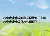 行业会计比较的意义是什么（你对行业会计比较是怎么理解的）