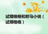 试婚格格和驸马小说（试婚格格）