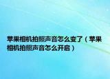 苹果相机拍照声音怎么变了（苹果相机拍照声音怎么开启）