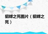 貂蝉之死图片（貂蝉之死）