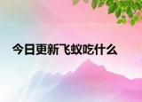 今日更新飞蚁吃什么