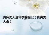 真实美人鱼科学的假设（真实美人鱼）