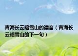 青海长云暗雪山的读音（青海长云暗雪山的下一句）