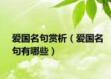 爱国名句赏析（爱国名句有哪些）