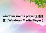 windows media player无法播放（Windows Media Player）