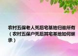 农村五保老人死后宅基地归谁所有（农村五保户死后其宅基地如何继承）