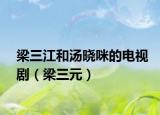 梁三江和汤晓咪的电视剧（梁三元）