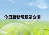 今日更新耄耋怎么读
