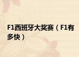F1西班牙大奖赛（F1有多快）
