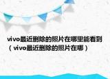 vivo最近删除的照片在哪里能看到（vivo最近删除的照片在哪）