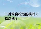 一片来自松岛的枫叶（松岛枫）